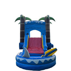 ocean20shark2020 20Edited 1756052361 Ocean Shark Combo