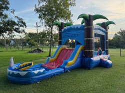 ocean20shark202 1756052362 Ocean Shark Combo