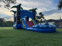 ocean20shark203 1756052361 Ocean Shark Combo