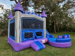 Purple20Reign20Side 1758710220 Purple Reign Combo