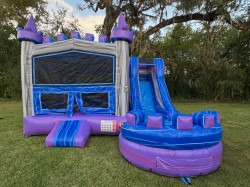 Purple20Reign20front 1758710220 Purple Reign Combo