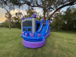 Purple20Reign20right20side 1758710220 Purple Reign Combo