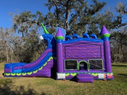 image3 1768914962 Mermaid Palace Combo