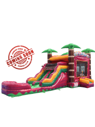 Pink Palm Paradise Combo